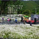 ┏◑10/15일옥정호산구절초축제&amp;정읍한우먹기/여행,트레킹 이미지