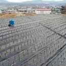 LH부동산중개사무소 이미지