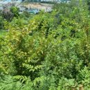 상화농장 이미지