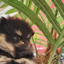 베이비멍 이미지