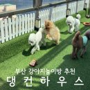 마이펫의 이중생활 | 부산 광안리 민락동 애견호텔 강아지놀이방 맡길곳 댕컨하우스 마이펫의이중생활