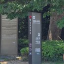 바다를 품은 산책로 '해운대 동백섬' 동백공원 주차 산책로 애견동반 방문후기