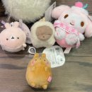 행복뽑기 | 성수동 놀거리 가볼만한곳 인형뽑기 데이트 추천 럭키팝