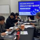 대미마트