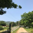 산청승마장 티스토리