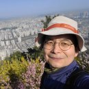 파란행정사 이미지