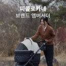 피콜로카네 네이버블로그