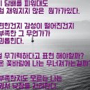 프뉴마 킥복싱, 태권도 이미지