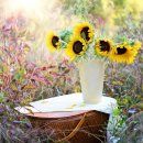 행정사법인 지음 이미지