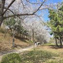 논현포대근린공원(축구장) 네이버블로그