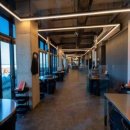 돼지왕국 이미지