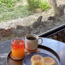 성읍환승정류장 이미지