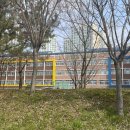 선운지구 이미지