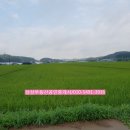 삼삼공인중개사사무소 이미지