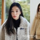 헤어리온