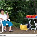 7080사랑방 이미지