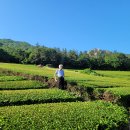 설록원 - 경주시 중앙로34번길 5 | 설록원