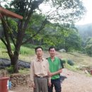 외갓집민박 이미지