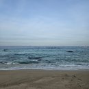 오죽헌충전소 | [강릉] 강릉 시티버스 (Sea Tea Bus)코스/운행시간/ 탑승후기