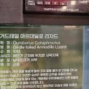 청와대목장 | 신비동물원 가평점 + 아쿠아가든 통합권 이용 아이들과 가평 여행 평일 방문 후기 - 동물먹이주기