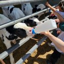 청아목장 이미지