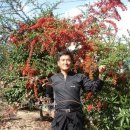 정규수 카카오 검색결과