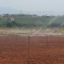 김대홍축산 이미지