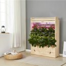 쿠키정원 이미지