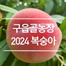 김영덕농장 이미지