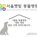 햇빛동물병원 이미지