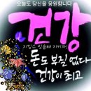 1월 19일(토) 된장과 막장 이미지