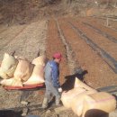 이미순농장 이미지