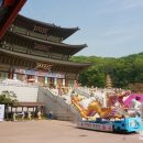 성남 대광사 티스토리
