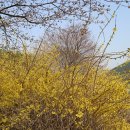 대백해물마을 이미지