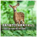 양산박 - 36617 | 양산박