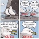 부산갈매기 네이버블로그
