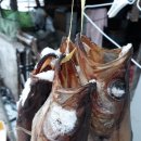 호랭이농장 이미지