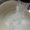 워시고 | 아기 바디워시 첫 신생아 목욕후기