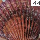 여우그늘펜션