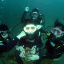 수민이네 이미지