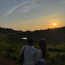 (주)벽전제주투자여행 | 제주도 20대 곰신 커플의 뚜벅이 제주 여행 🍊 |협제해수욕장,스테이마르하바,너야말로진정회,오설록,성...