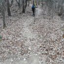 금산1리 이미지