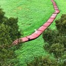 광시농장 이미지