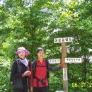 정선물산 Daum카페