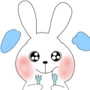 다빈치오락실 이미지