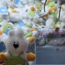 가족뮤지컬 아빠 사랑해요 | 26.02.13 낮 콘서트 쉐도우 213 My Birthday 후기 (1)