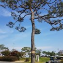 여주컨트리클럽 이미지