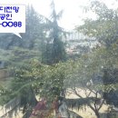 신동양 - 영등포구 여의나루로 42 | 신동양