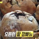 라그노