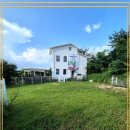 멍멍이천국 이미지